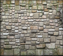 Ruined Longhouse Ruined Longhouse